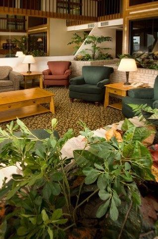 Pear Tree Inn Mcallen Interiør billede